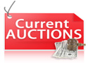 current Acid Reflux auctions 